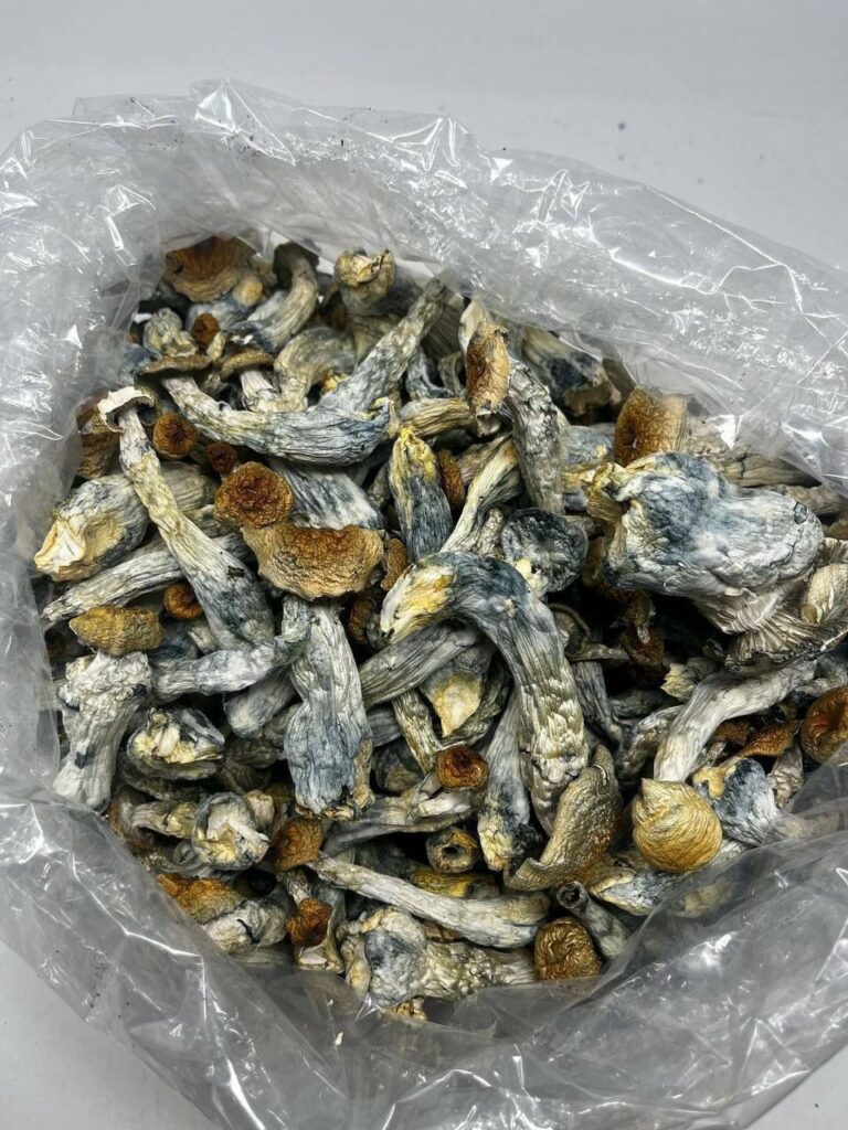 Potential Benefits and Risks of Psilocybin According to Research buy dried penis envy mushroom online usa