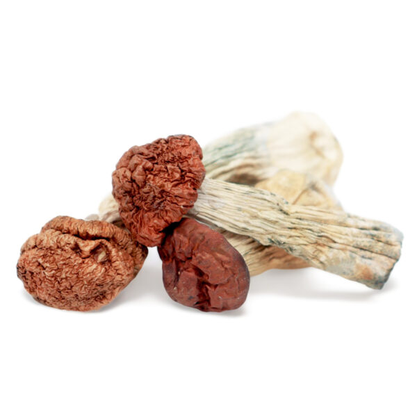 Where can I Buy Blue Meanie Magic Mushrooms Online Australia?