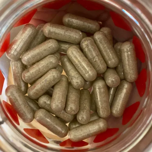Where can I Buy Golden Teacher Mushrooms Capsules Online Australia?