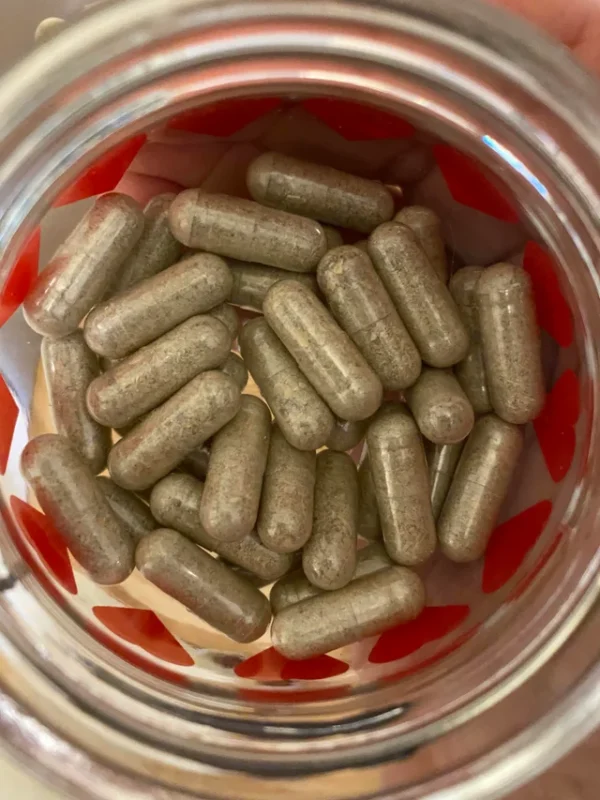 Where can I Buy Golden Teacher Mushrooms Capsules Online Australia?