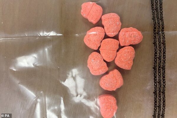 MDMA Therapy Session Plan